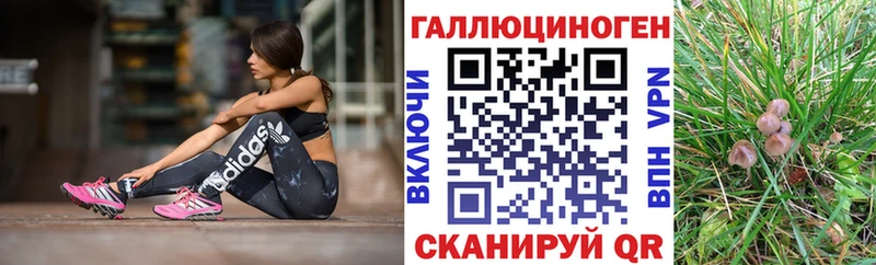 Псилоцибиновые грибы мухоморы  кракен маркетплейс  Звенигород 